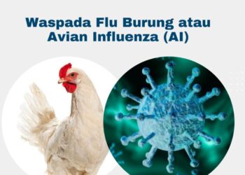 Flu Burung Meningkat, Semua Pihak Diminta Waspada dan Siaga