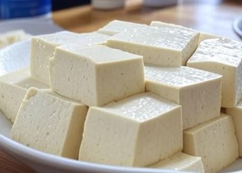 Perbedaan Tahu dan Tofu, Rahasia di Balik Tekstur Lembut dan Proses Unik