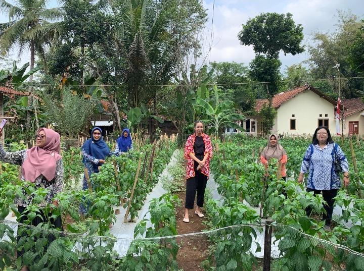 Gercep! Revolusi Hijau di Sucen Jurutengah Curi Perhatian TP PKK Purworejo