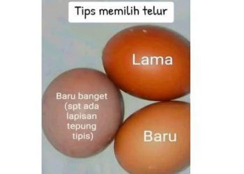 Begini Cara Memilih Telur Ayam Segar di Warung atau Kios