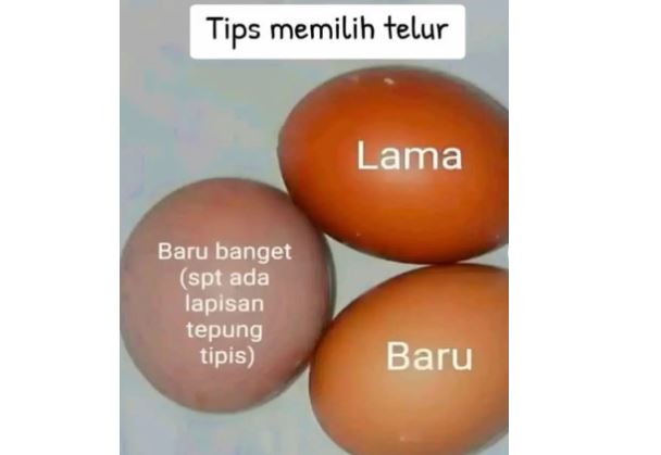 Begini Cara Memilih Telur Ayam Segar di Warung atau Kios