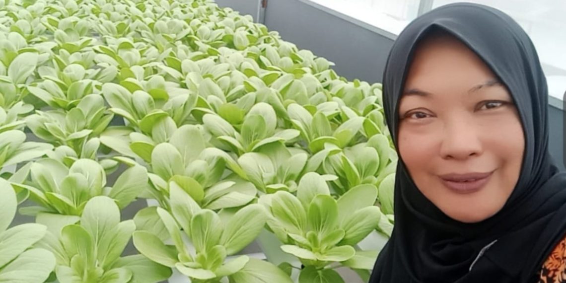 Mantan Camat Pakisaji Malang Ini, Kini Fokus Bersiaran Radio dan Panen Hidroponik untuk Dukung MBG